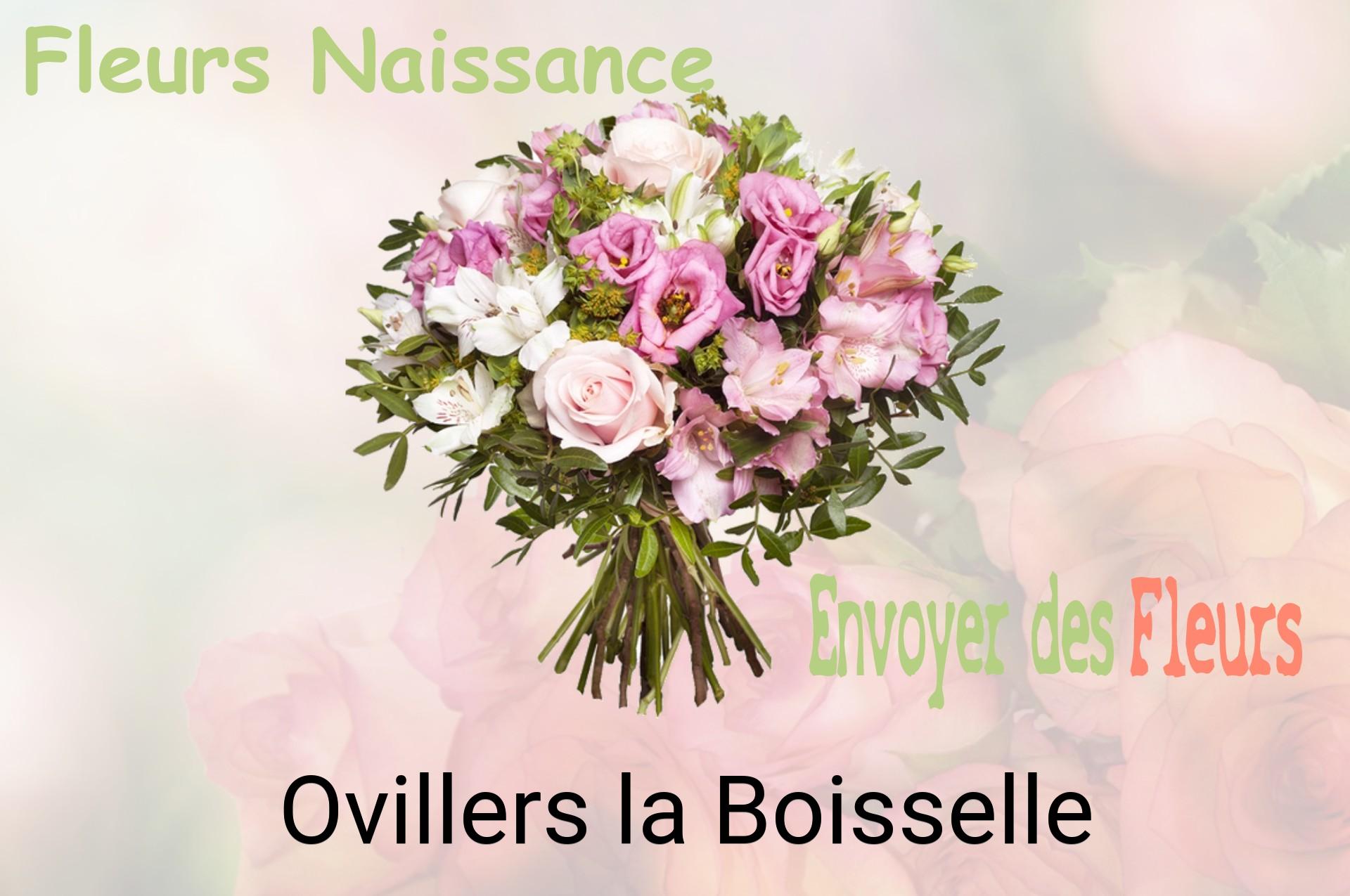 Bouquet de fleurs de naissance livré à Ovillers-la-Boisselle