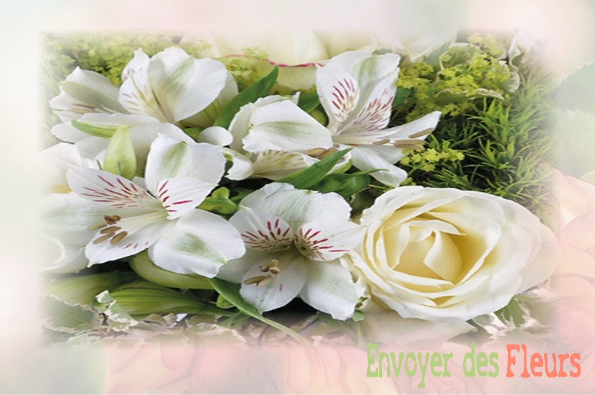 envoyer des fleurs à à OVILLERS-LA-BOISSELLE